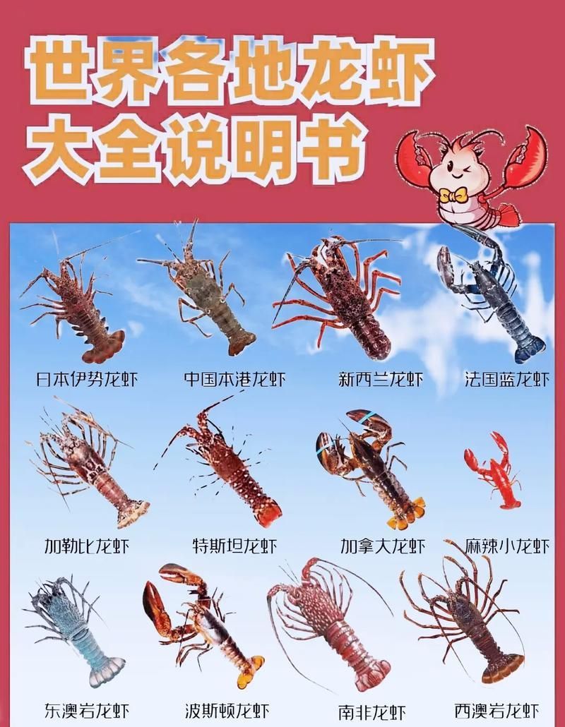 有沒有更多種類的龍蝦圖片，淡水龍蝦和海水龍蝦的烹飪方式多樣，龍蝦的烹飪方式多樣