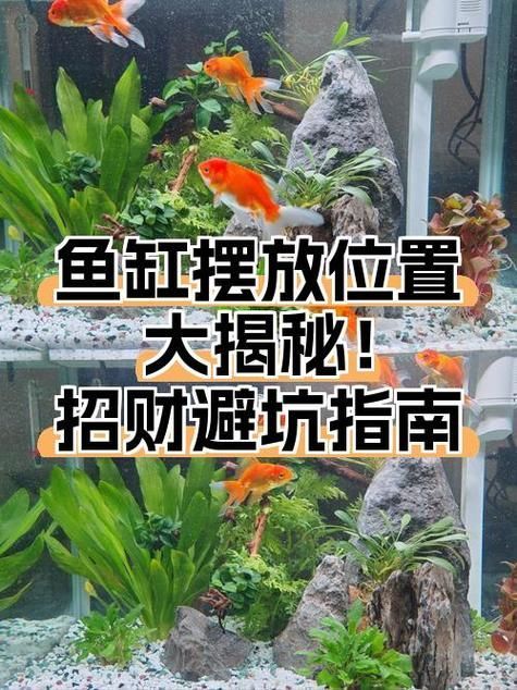 魚缸位置風水示意圖,魚缸位置風水擺放有哪些禁忌魚缸位置風水示意圖 龍魚百科 第7張 魚缸位置風水示意圖,魚缸位置風水擺放有哪些禁忌魚缸位置風水示意圖 魚缸位置風水示意圖,魚缸位置風水擺放有哪些禁忌魚缸位置風水示意圖 龍魚百科 第7張