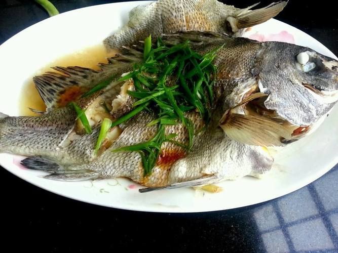 雙橋龍魚有哪些常見的烹飪方法？，雙橋龍魚是什么魚？