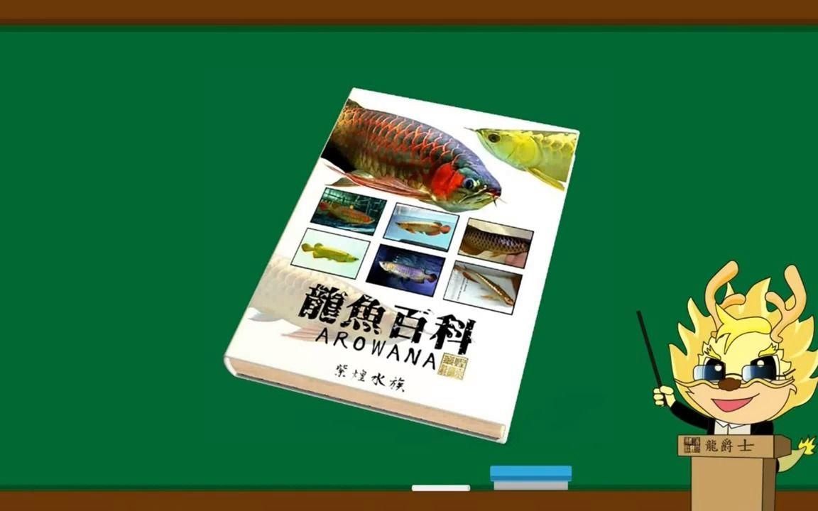 10000K色溫對龍魚的健康有何影響？，10000k色溫對龍魚健康的影響 10000K色溫對龍魚的健康有何影響？，10000k色溫對龍魚健康的影響 龍魚百科 第2張
