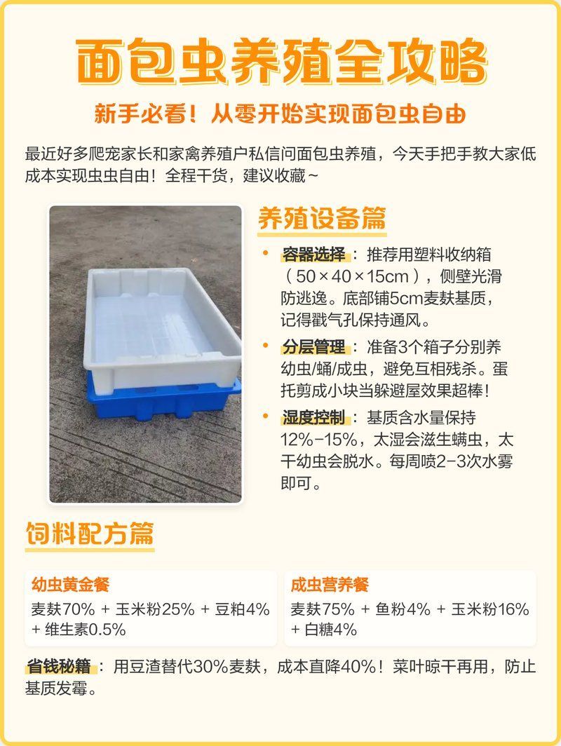 如何養殖和保存面包蟲，養殖和保存面包蟲的基本指南：養殖和保存面包蟲的基本指南