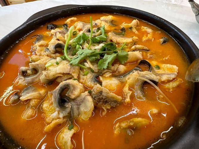 獨(dú)山龍魚和鯰魚的烹飪方法有何不同?,獨(dú)山龍魚與鯰魚的烹飪方法 龍魚百科 第1張 獨(dú)山龍魚和鯰魚的烹飪方法有何不同?,獨(dú)山龍魚與鯰魚的烹飪方法 獨(dú)山龍魚和鯰魚的烹飪方法有何不同?,獨(dú)山龍魚與鯰魚的烹飪方法 龍魚百科 第1張