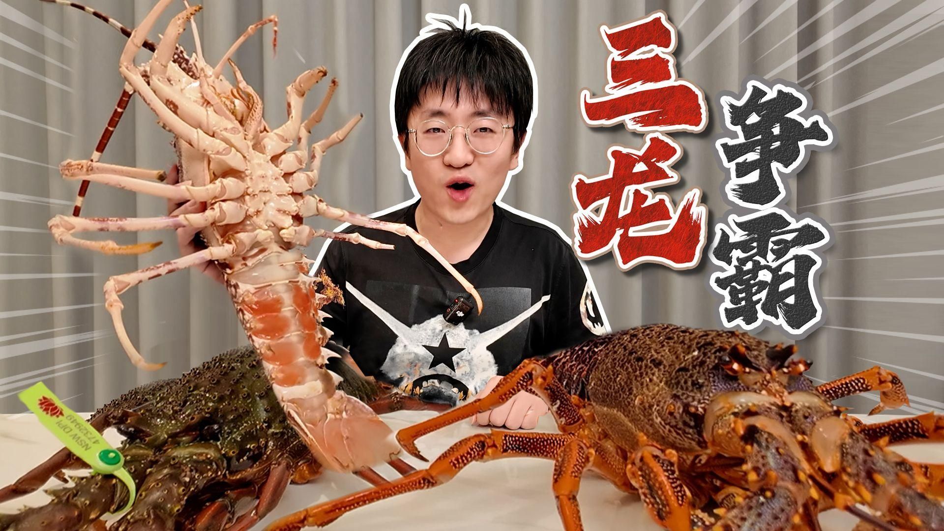 澳龍有哪些主要品種，如何區分不同品種的澳龍