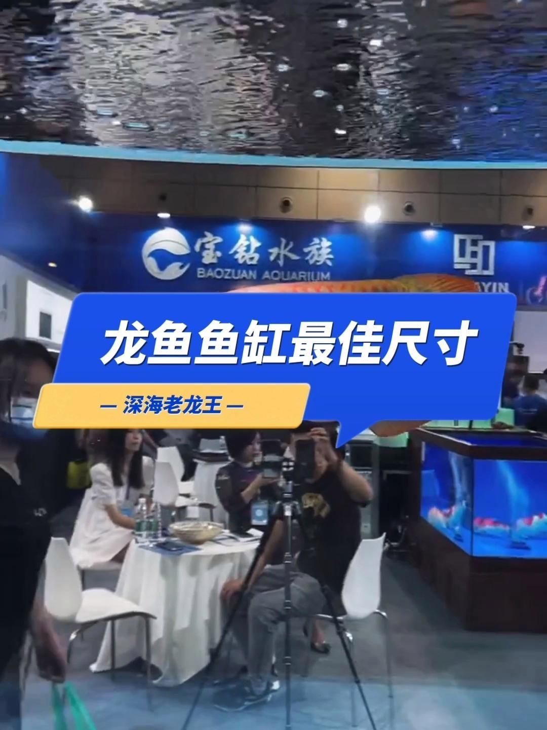 如何選擇適合龍魚的魚缸尺寸，適合龍魚的魚缸尺寸是確保健康生長和繁殖的關鍵因素