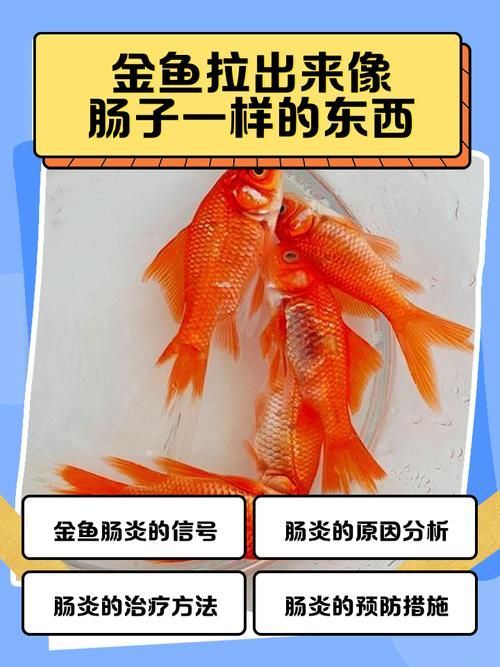如何判斷魚腸炎是否好轉，如何判斷魚腸炎好轉