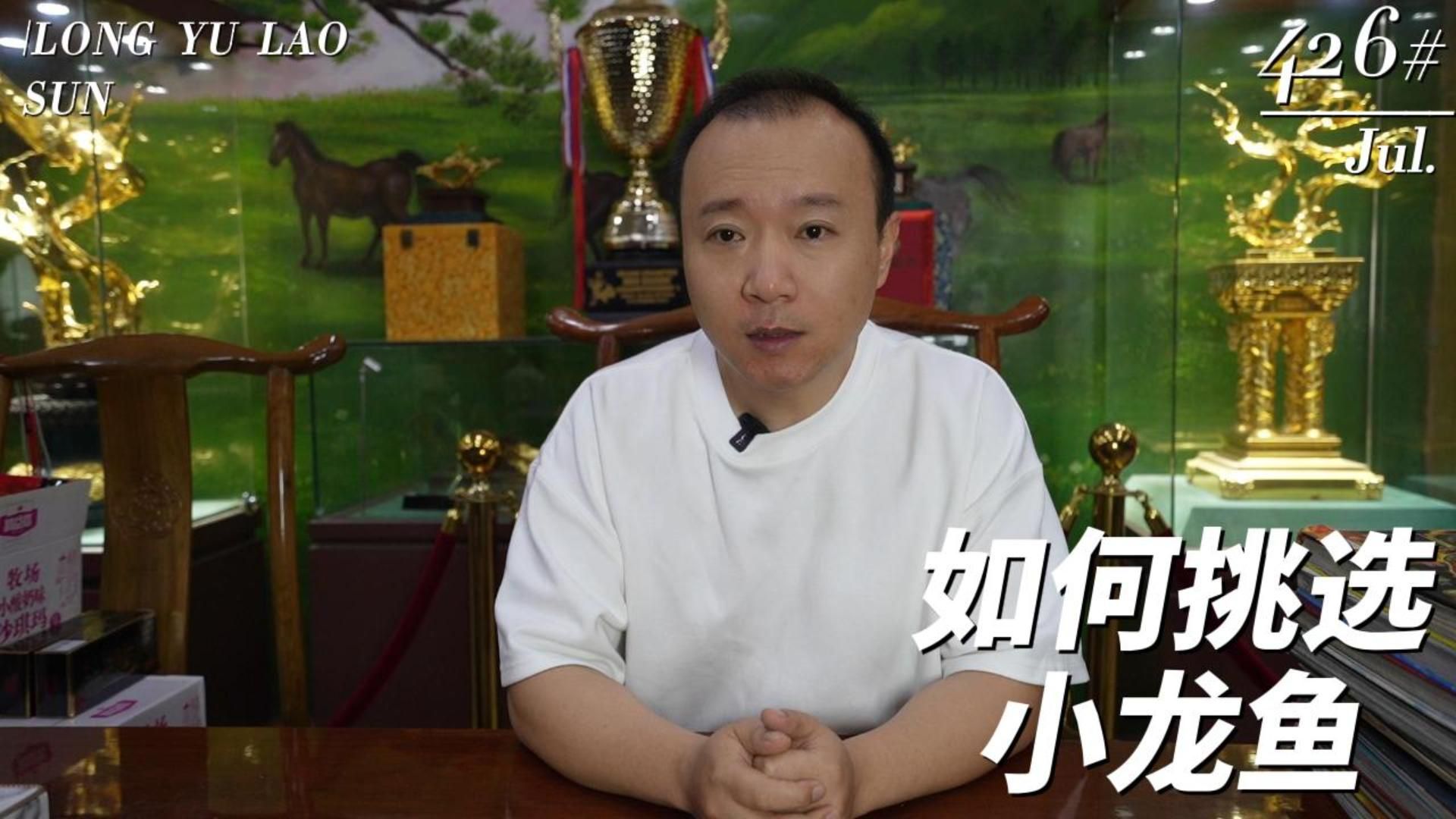 如何找到更多龍魚飼養(yǎng)知識講座？，如何找到更多的龍魚飼養(yǎng)知識講座？