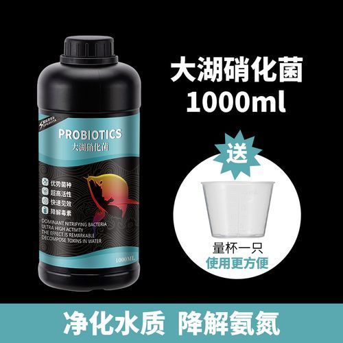 哪個品牌的魚缸益生菌評價最好？，哪個品牌的魚缸益生菌品牌評價最好？