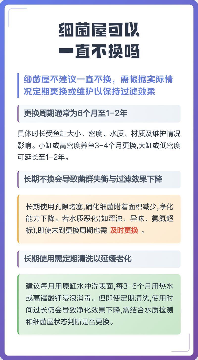如何判斷細菌屋是否需要清洗，智造拆箱姬，如何判斷細菌屋是否需要清洗 如何判斷細菌屋是否需要清洗，智造拆箱姬，如何判斷細菌屋是否需要清洗 龍魚百科 第2張