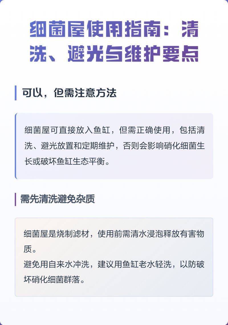 如何判斷細菌屋是否需要清洗，智造拆箱姬，如何判斷細菌屋是否需要清洗 如何判斷細菌屋是否需要清洗，智造拆箱姬，如何判斷細菌屋是否需要清洗 龍魚百科 第1張