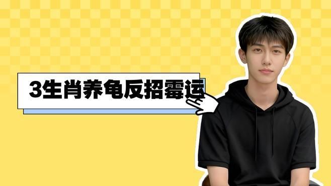 哪些屬相不適合養龜，哪些屬相的人不宜養龜？