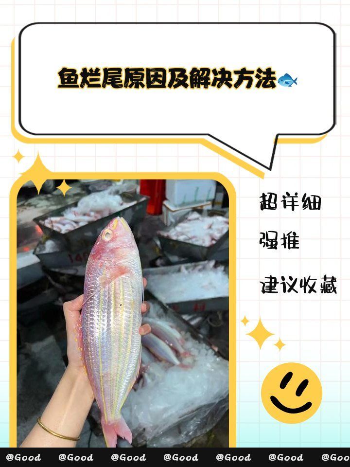 如何預防金龍魚爛尾的發生，如何預防金龍魚爛尾 如何預防金龍魚爛尾的發生，如何預防金龍魚爛尾 龍魚百科 第2張