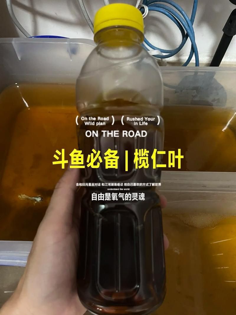 如何調節龍魚缸的pH值？，北京龍魚缸ph值調節ph值調節ph值的重要性和影響范圍