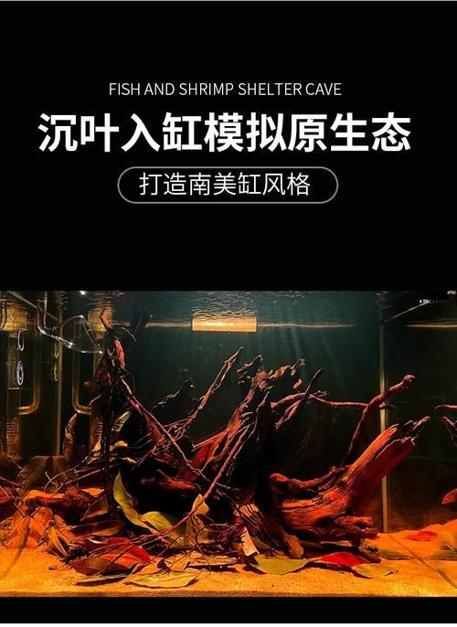 如何調(diào)節(jié)龍魚(yú)缸的pH值？，北京龍魚(yú)缸ph值調(diào)節(jié)ph值調(diào)節(jié)ph值的重要性和影響范圍