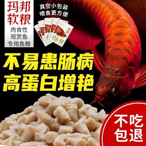 給我一些龍魚(yú)增色的食物圖片，魚(yú)增色食物富集昆蟲(chóng)如蟋蟀、面包蟲(chóng)為主