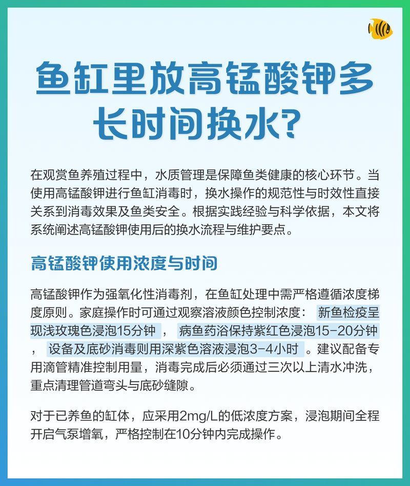 高錳酸鉀治療爛尾病后需要換水嗎，高錳酸鉀治療魚爛尾病后換水頻率處理策略需分情況處理 高錳酸鉀治療爛尾病后需要換水嗎，高錳酸鉀治療魚爛尾病后換水頻率處理策略需分情況處理 龍魚百科 第2張