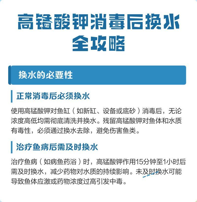高錳酸鉀治療爛尾病后需要換水嗎，高錳酸鉀治療魚爛尾病后換水頻率處理策略需分情況處理 高錳酸鉀治療爛尾病后需要換水嗎，高錳酸鉀治療魚爛尾病后換水頻率處理策略需分情況處理 龍魚百科 第1張