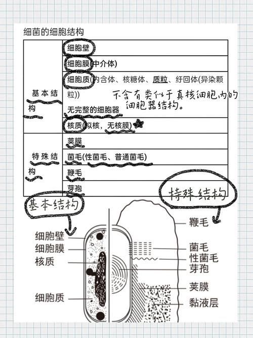 能提供更多細菌和真菌的鑒別要點嗎，arxiv論文助手arxiv論文助手arxiv論文助手