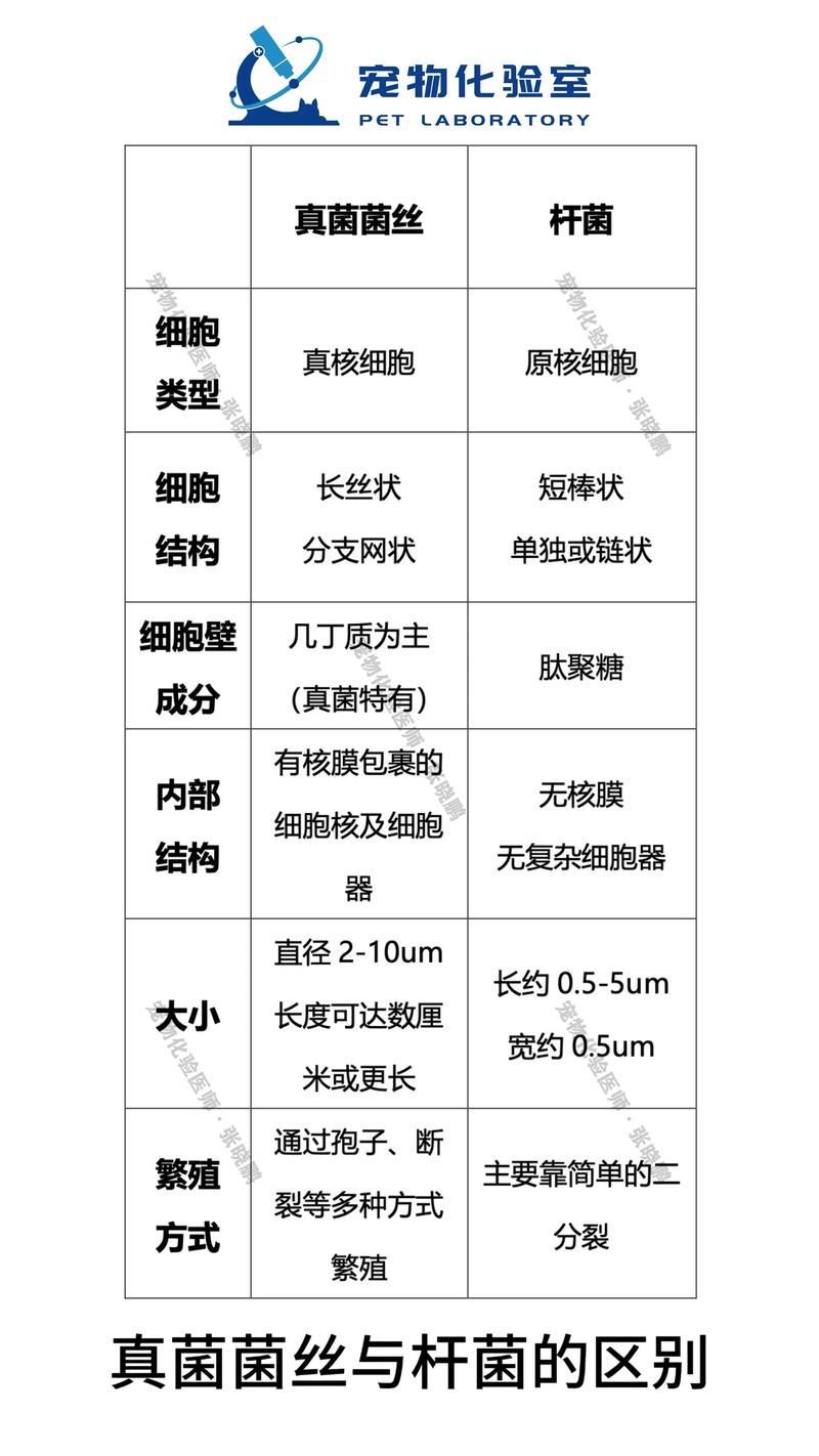 能提供更多細菌和真菌的鑒別要點嗎，arxiv論文助手arxiv論文助手arxiv論文助手