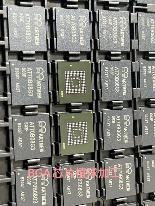 如何辨別龍魚品牌的真偽？，如何辨別龍魚品牌的真偽
