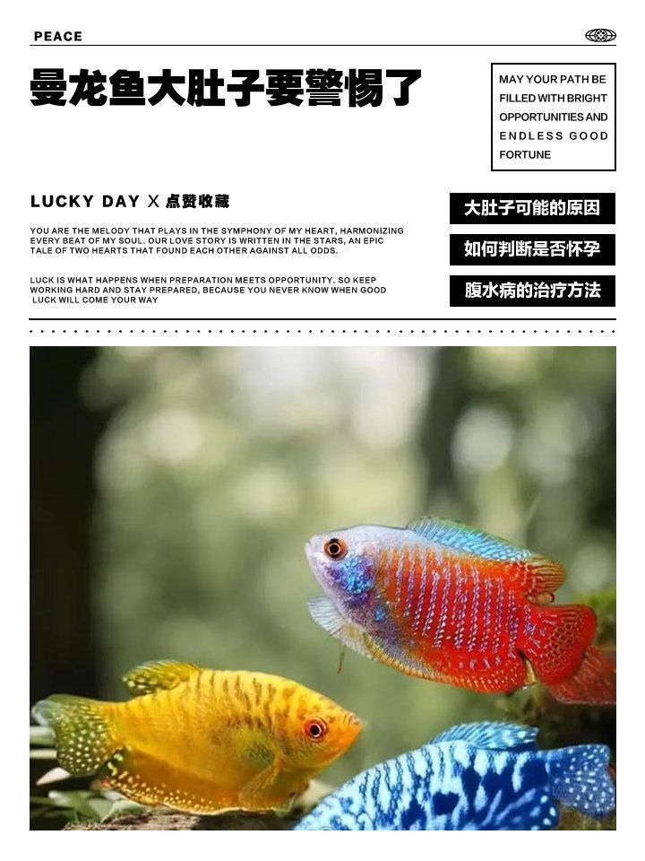 龍魚腹水病能治愈嗎，龍魚腹水病有哪些治療方法？