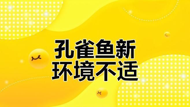 魚趴缸期間需要喂食嗎，新魚入缸不吃食趴缸、浮水怎么辦魚趴缸補救方法