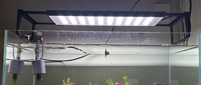 有哪些品牌的魚缸燈值得推薦？