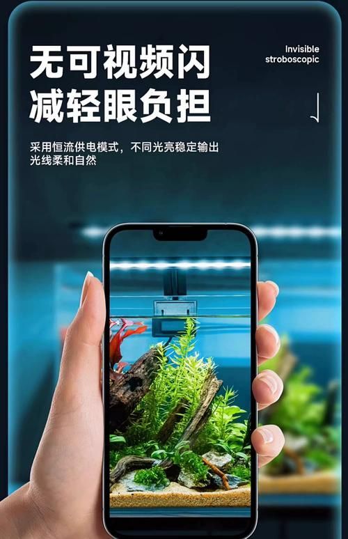 有哪些品牌的魚缸燈值得推薦？