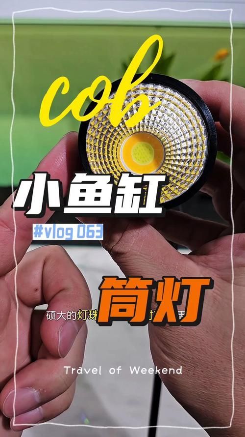 有哪些品牌的魚缸燈值得推薦？