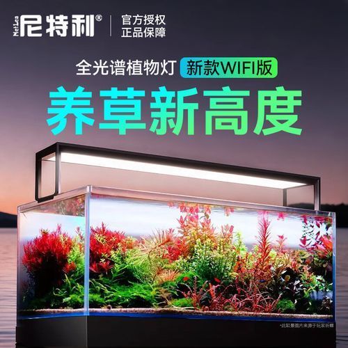 有哪些品牌的魚缸燈值得推薦？