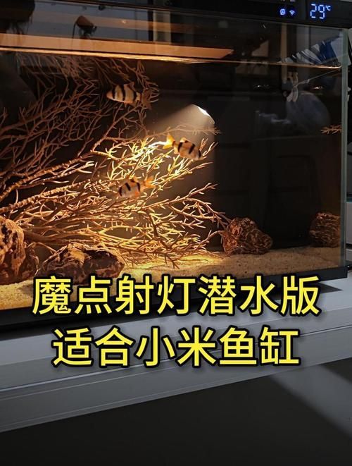 有哪些品牌的魚缸燈值得推薦？