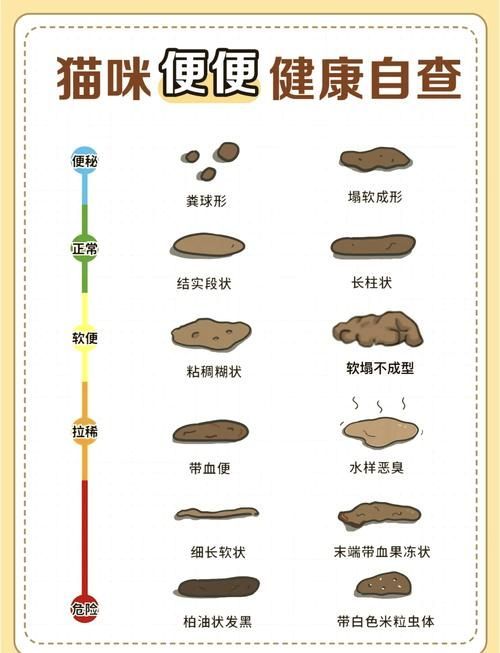 龍貓的消化系統(tǒng)異常有哪些癥狀，龍貓（倉鼠（倉鼠的一種）消化系統(tǒng)異常的權(quán)威醫(yī)學癥狀