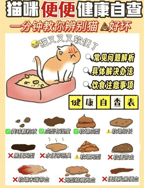 龍貓的消化系統(tǒng)異常有哪些癥狀，龍貓（倉鼠（倉鼠的一種）消化系統(tǒng)異常的權(quán)威醫(yī)學癥狀