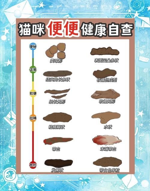 龍貓的消化系統(tǒng)異常有哪些癥狀，龍貓（倉鼠（倉鼠的一種）消化系統(tǒng)異常的權(quán)威醫(yī)學癥狀