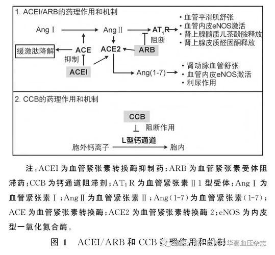 哪些藥物組合使用效果更好，藥物組合使用藥物組合使用的效果取決于多種因素、個體差異