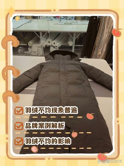 如何判斷一個羽絨服的性價比，如何判斷羽絨服性價比 如何判斷一個羽絨服的性價比，如何判斷羽絨服性價比 龍魚百科 第6張