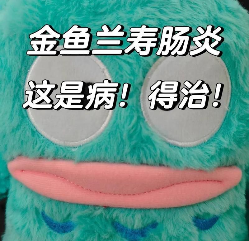 有哪些常見的金魚細菌性疾病，金魚養(yǎng)殖過程中常見的五類疾病雖病原不同但誘因高度重合 有哪些常見的金魚細菌性疾病，金魚養(yǎng)殖過程中常見的五類疾病雖病原不同但誘因高度重合 龍魚百科 第2張