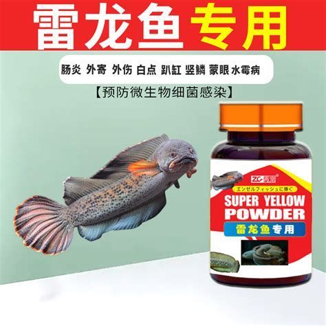 雷龍魚細(xì)菌感染最佳治療方法，雷龍魚細(xì)菌感染的治療步驟詳解 雷龍魚細(xì)菌感染最佳治療方法，雷龍魚細(xì)菌感染的治療步驟詳解 龍魚百科 第1張