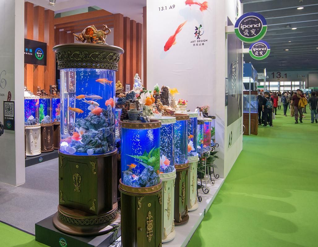 祥龍魚場在2025CIPS上有何表現？，2025年中國國際進口博覽會祥龍魚場cips2025年cips