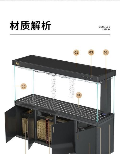 如何選擇適合龍魚的YEE意牌燈 如何選擇適合龍魚的YEE意牌燈 龍魚百科 第3張