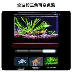 如何選擇適合龍魚的YEE意牌燈 如何選擇適合龍魚的YEE意牌燈 龍魚百科 第8張