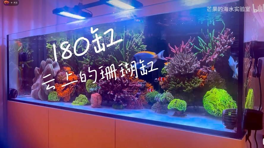 13000K燈在哪些領域有應用，13000k燈在各個領域的應用