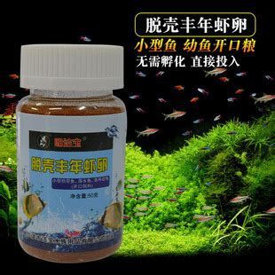 有哪些食物可以喂龍魚小魚？，龍魚幼魚喂食指南