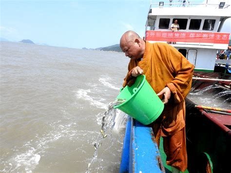 佛說魚安葬的正確方法，《佛說魚安葬的正確方法》