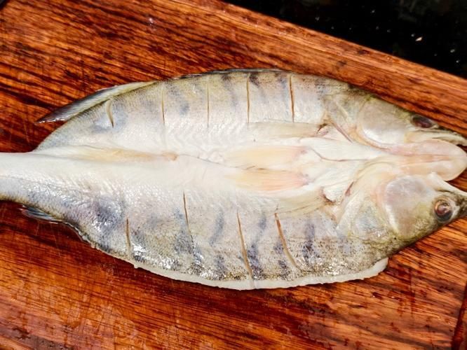 能否提供更多新疆雪龍魚的圖片，新疆雪龍魚的價格是多少？