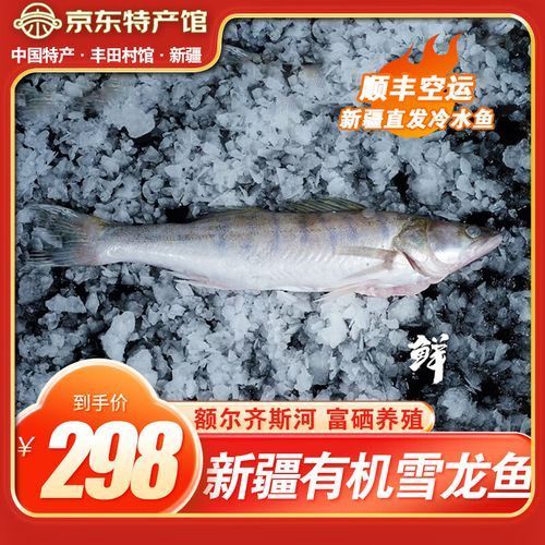 能否提供更多新疆雪龍魚的圖片，新疆雪龍魚的價格是多少？