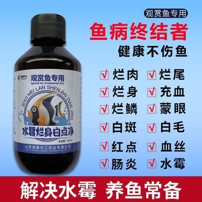 龍魚爛尾是什么原因，龍魚為什么會爛尾