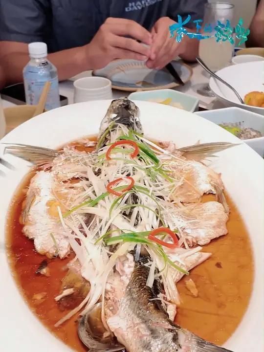 翹嘴魚(yú)的高端市場(chǎng)有哪些，丹江口翹嘴[需手動(dòng)填充]——高端餐飲市場(chǎng)