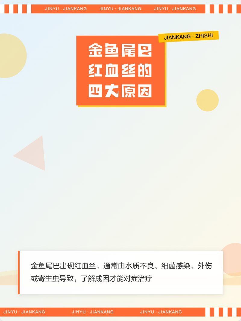 魚鰭出現很多紅色血絲什么問題，金魚尾巴紅血絲的四大原因揭秘