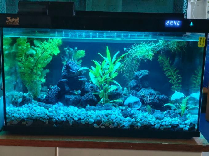 如何判斷森森魚缸的質量，如何判斷森森魚缸的質量？