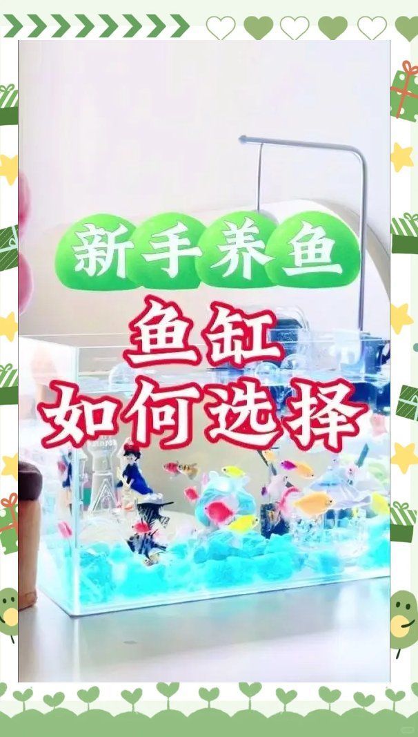 如何選擇適合金魚的魚缸，新手養魚必備:魚缸選擇全攻略 如何選擇適合金魚的魚缸，新手養魚必備:魚缸選擇全攻略 龍魚百科 第1張